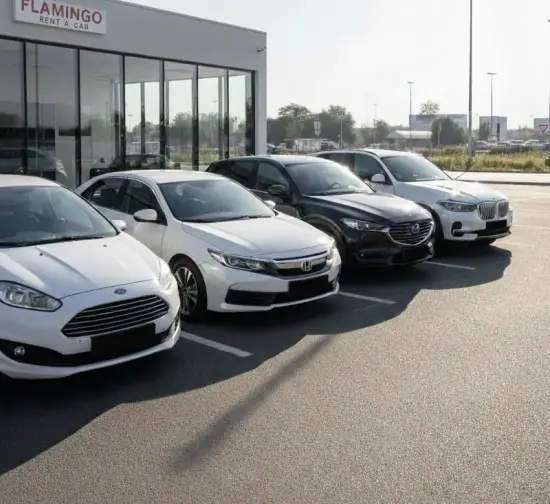 Flamingo Transport usluga: Povoljan Rent a Car Beograd | Flamingo